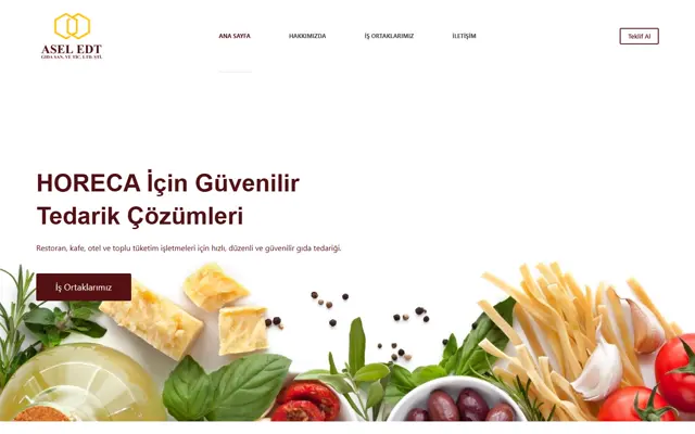 Aseledt web sitesi ana sayfa ekran görüntüsü